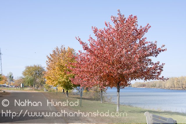 Wabasha_2008-10-25_IMG_2498